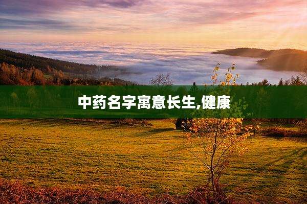 中药名字寓意长生,健康