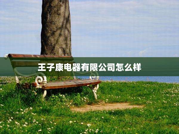王子康电器有限公司怎么样