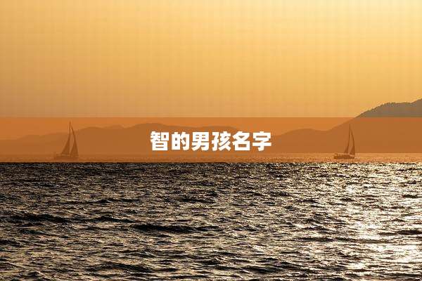 智的男孩名字