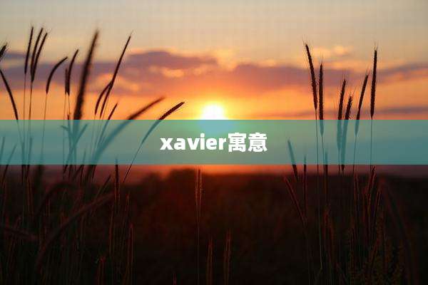 xavier寓意