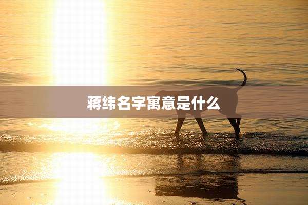 蒋纬名字寓意是什么