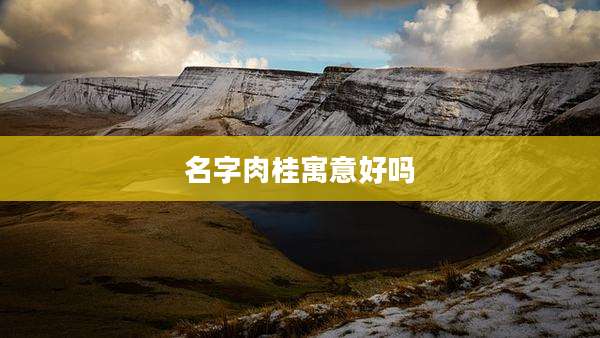 名字肉桂寓意好吗