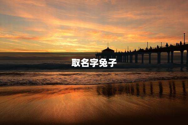 取名字兔子