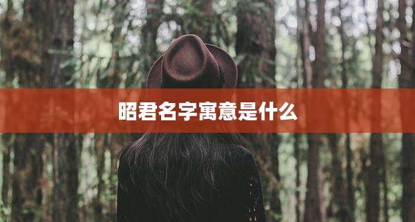 昭君名字寓意是什么