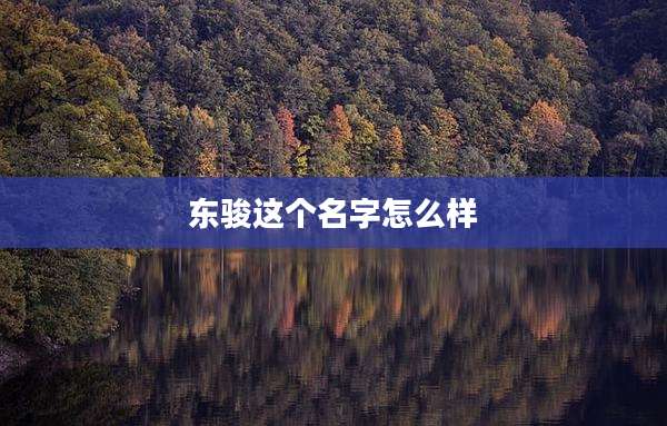 东骏这个名字怎么样