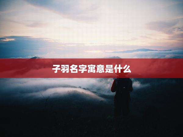 子羽名字寓意是什么