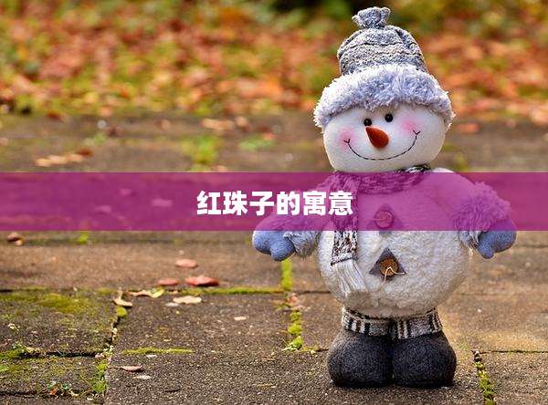 红珠子的寓意