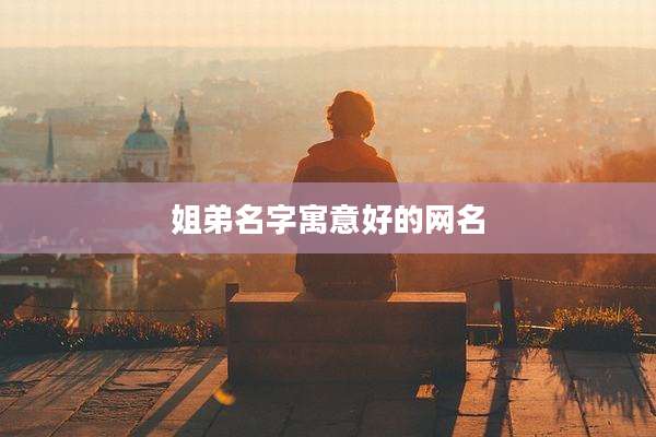 姐弟名字寓意好的网名