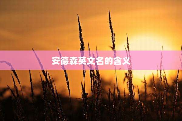 安德森英文名的含义