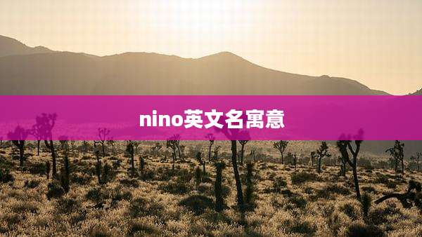 nino英文名寓意