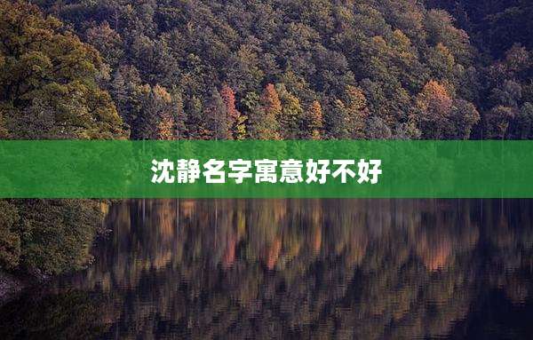 沈静名字寓意好不好