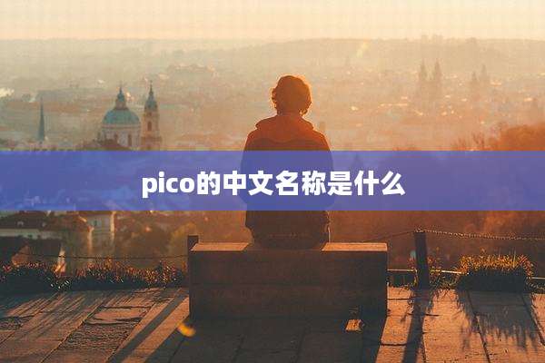 pico的中文名称是什么