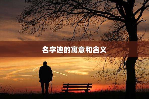 名字迪的寓意和含义