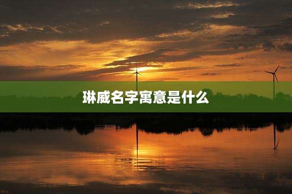 琳威名字寓意是什么