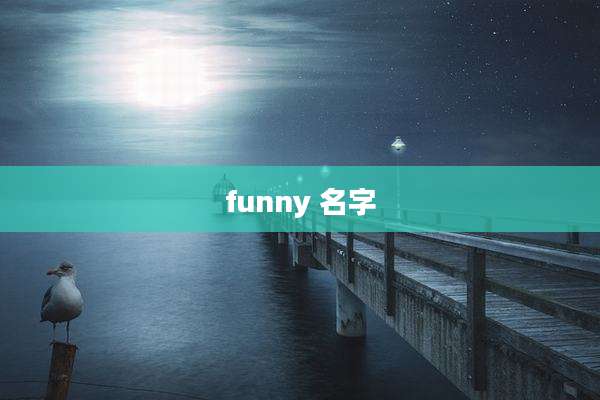 funny 名字