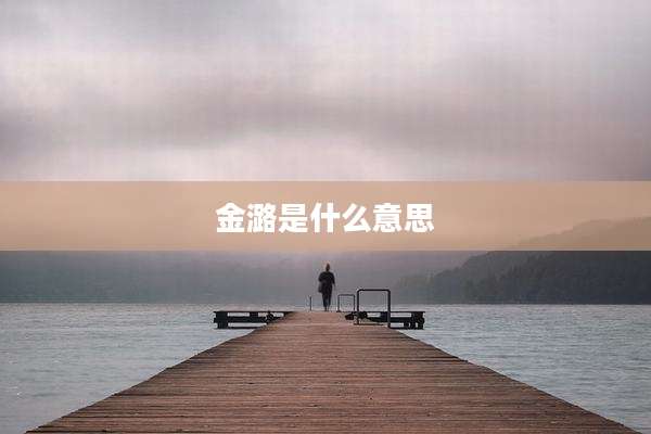 金潞是什么意思