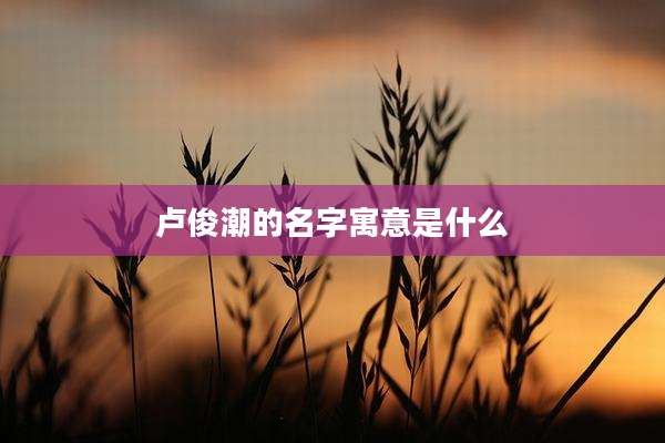 卢俊潮的名字寓意是什么