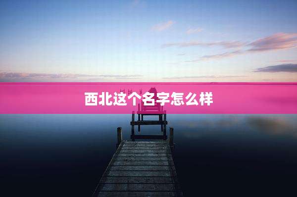 西北这个名字怎么样