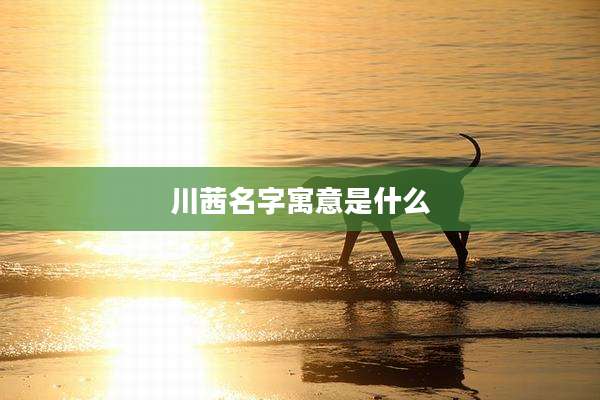 川茜名字寓意是什么