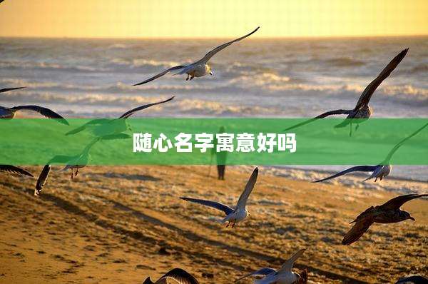 随心名字寓意好吗