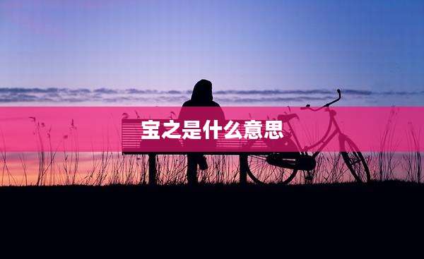 宝之是什么意思