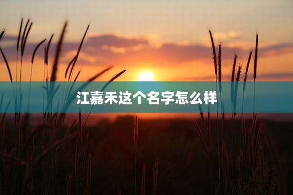 江嘉禾这个名字怎么样