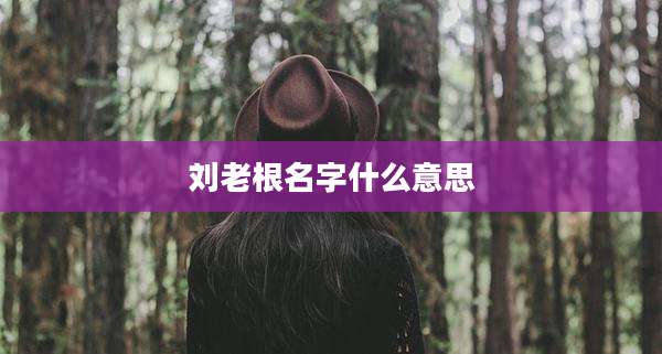 刘老根名字什么意思