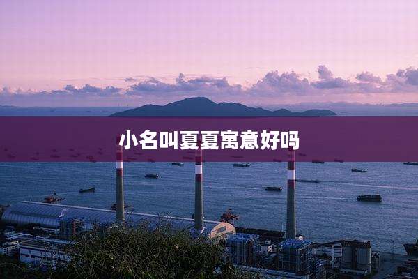 小名叫夏夏寓意好吗