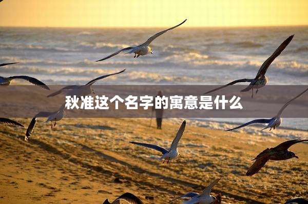 秋准这个名字的寓意是什么