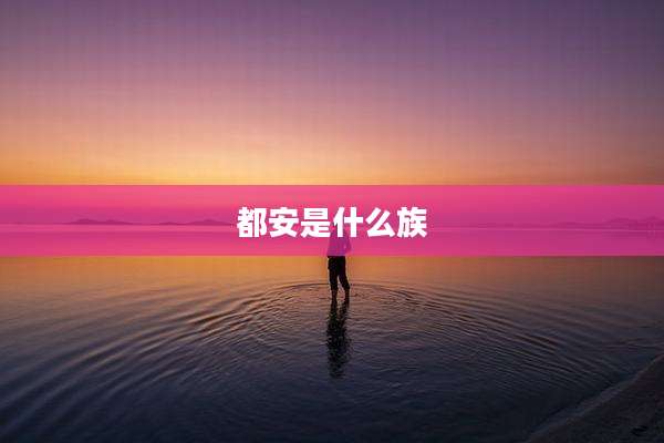 都安是什么族