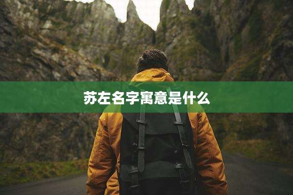 苏左名字寓意是什么