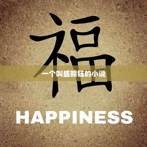 一个叫盛翰钰的小说