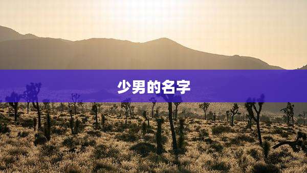 少男的名字