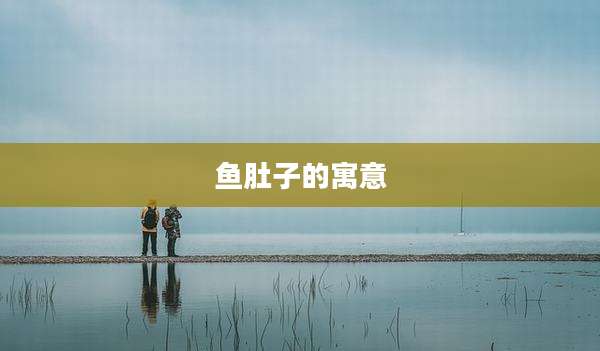 鱼肚子的寓意