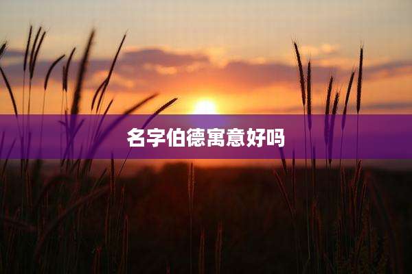 名字伯德寓意好吗