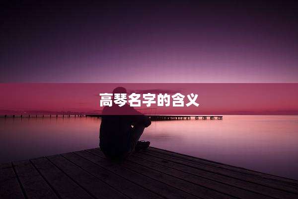高琴名字的含义