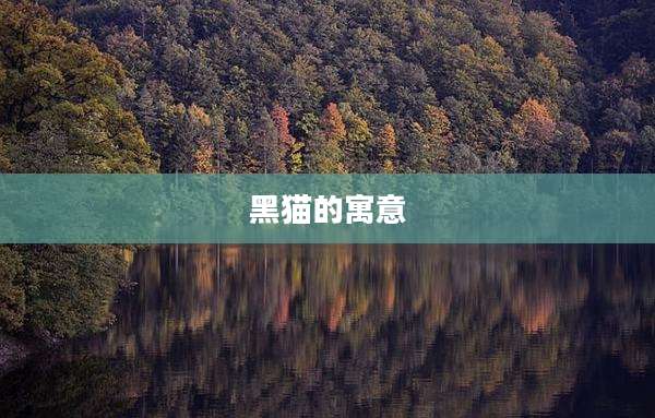 黑猫的寓意