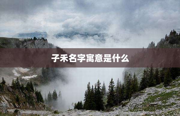 子禾名字寓意是什么