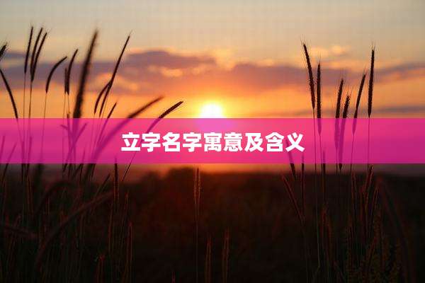 立字名字寓意及含义