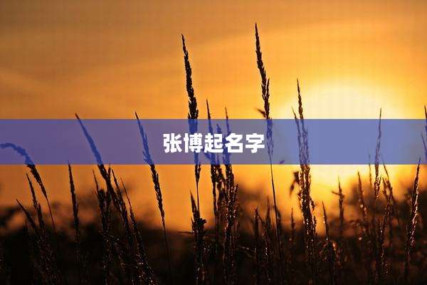 张博起名字