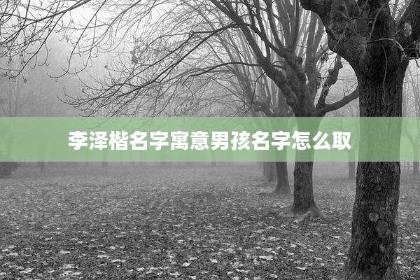 李泽楷名字寓意男孩名字怎么取