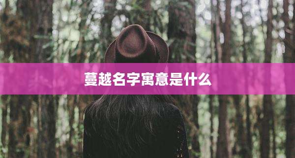 蔓越名字寓意是什么