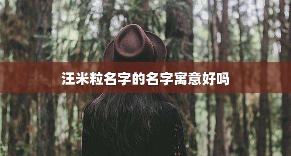 汪米粒名字的名字寓意好吗