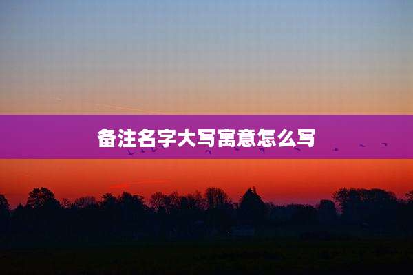备注名字大写寓意怎么写