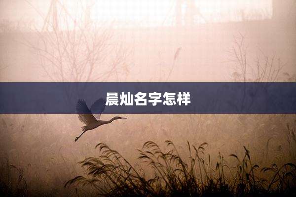 晨灿名字怎样