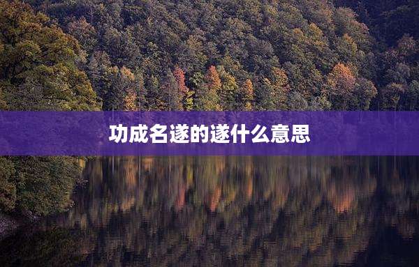 功成名遂的遂什么意思