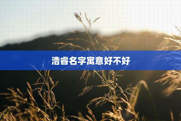 浩睿名字寓意好不好