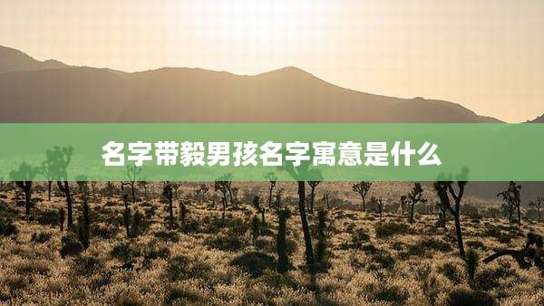 名字带毅男孩名字寓意是什么