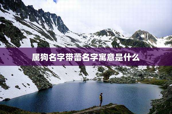 属狗名字带蕾名字寓意是什么