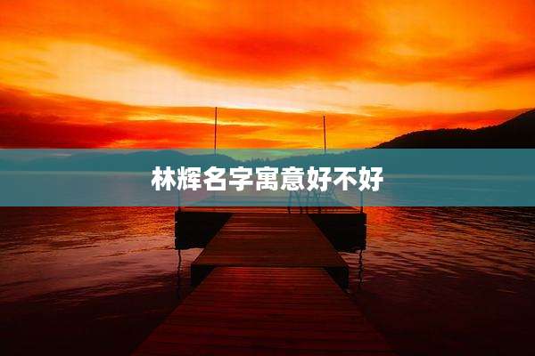 林辉名字寓意好不好